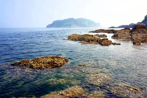 沪江开心词场